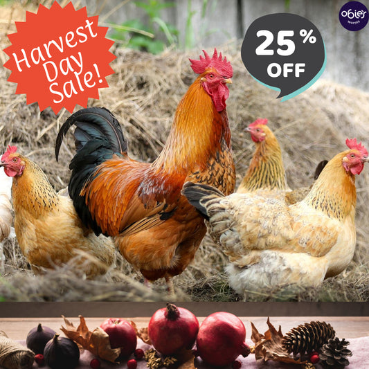 Harvest Day Sale!!