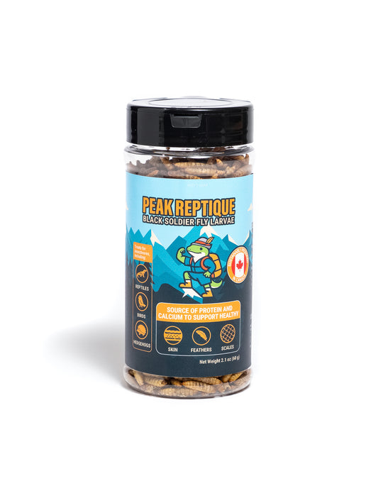 Peak Reptique Dried Whole Black Soldier Fly Larvae (CA)